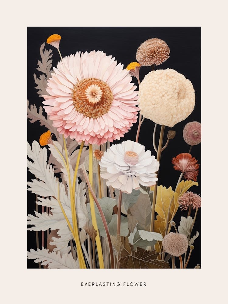Flower Illustration Everlasting Flower 3 Poster
