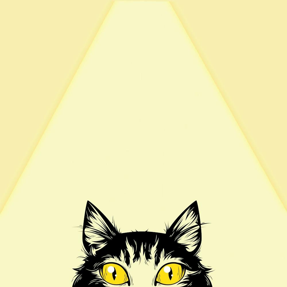 Cat With Yellow Eyes
