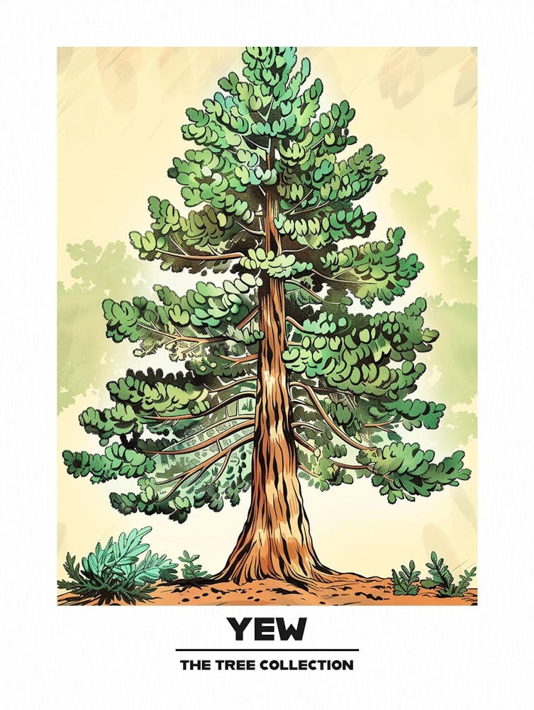 Yew Tree Storybook Illustration 3 Poster