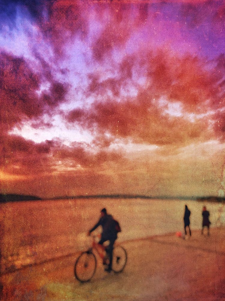 Coast Dreams