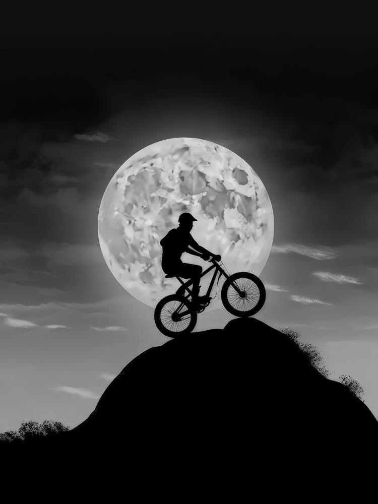 Mountain Biker Silhouette