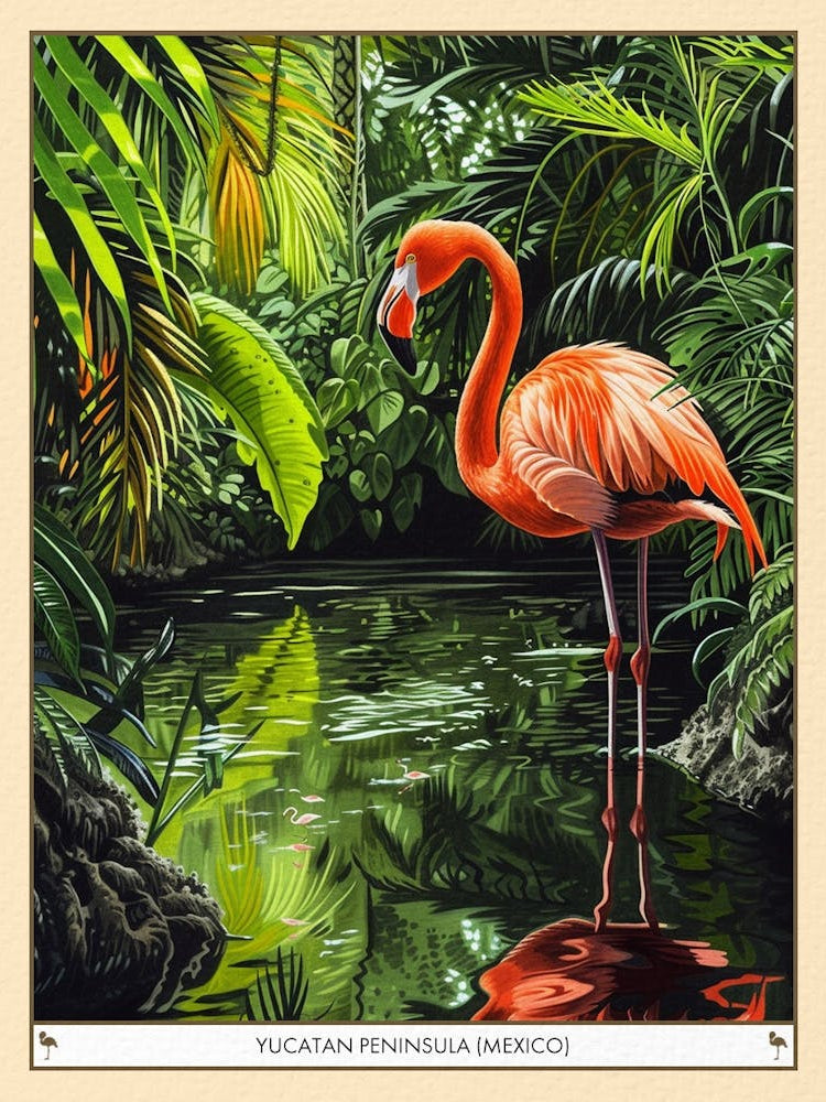 Greater Flamingo Yucatn Peninsula Mexico Tropical Illustration 3 Poster