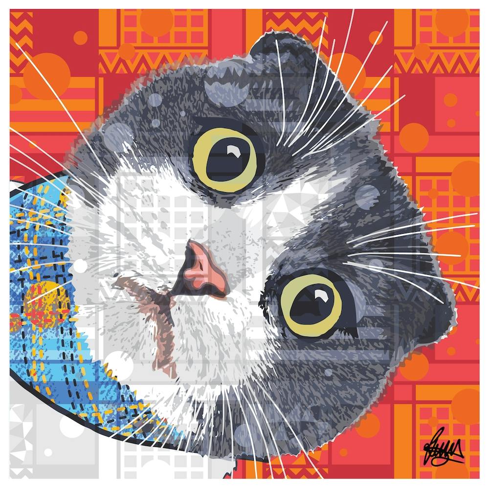 Kazuo Scottish Fold Cat Square