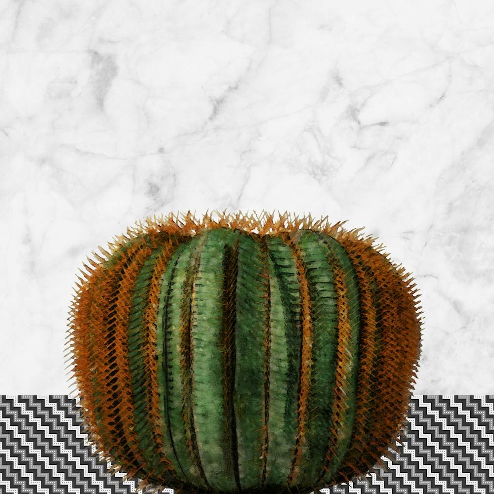 Cactus Sphérique sur Marbre Blanc et Mur en Zigzag