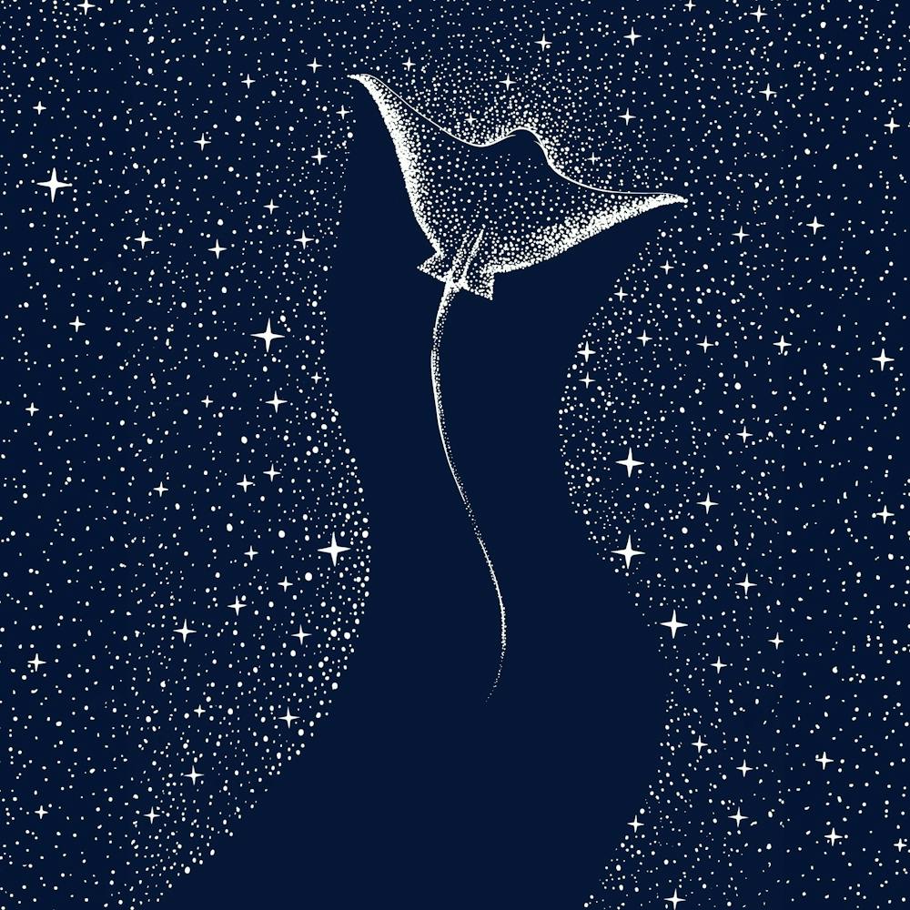 Star Collector SQUARE