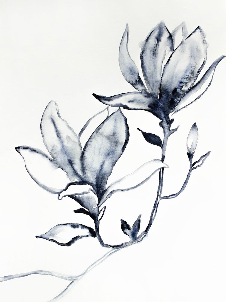 Magnolia 33