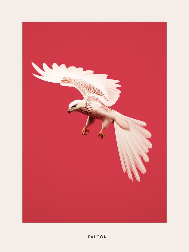 Minimalist Falcon 2 Bird Poster