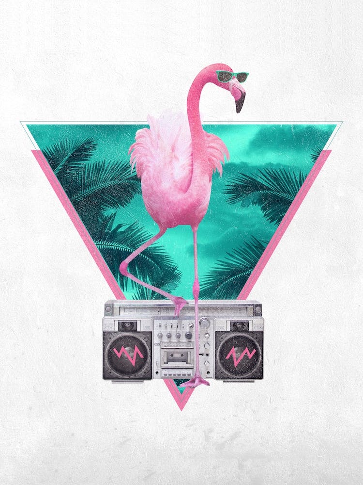 Miami Flamingo A3