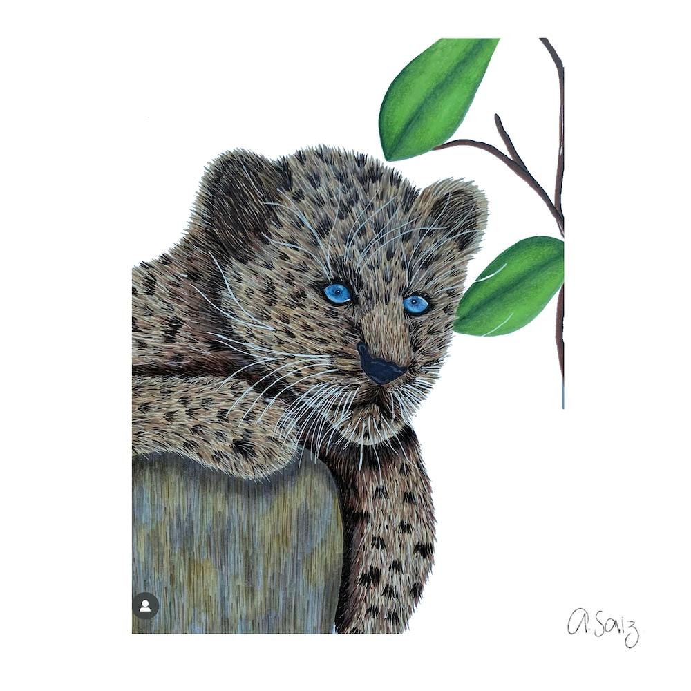 Baby Leopard. 1