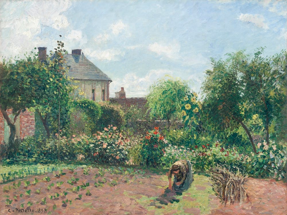 The Artist S Garden At Eragny (1898), Camille Pissarro
