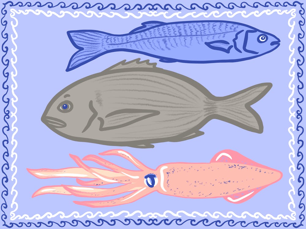 Three Fish and squid In A Frame Meditterranean Fresh Sea food