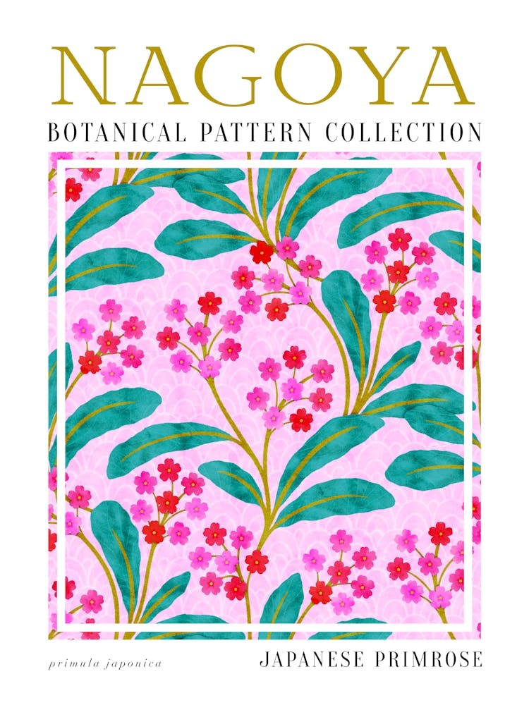 Nagoya Botanical Japanese Primrose