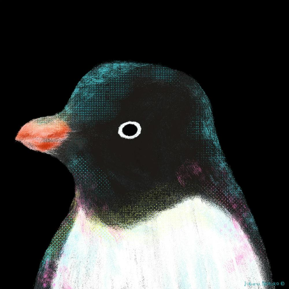 Adelie Penguin Square