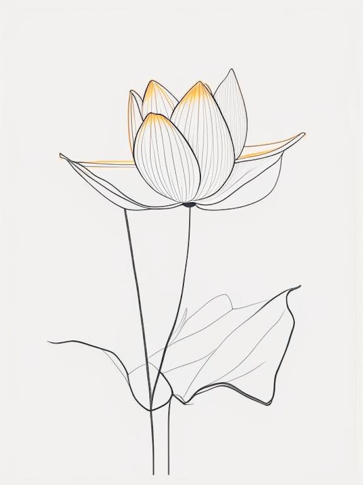 American Lotus Minimal Line Drawing 3