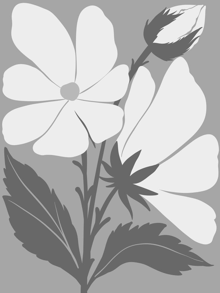Black And White Flowers 92