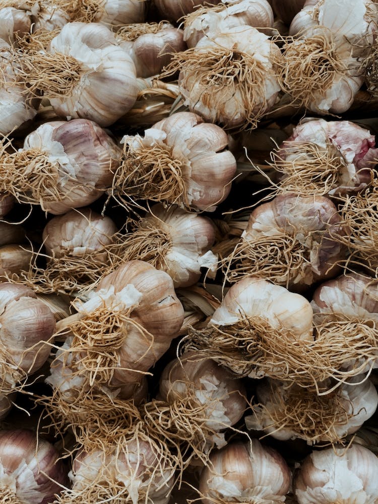 Garlic Love