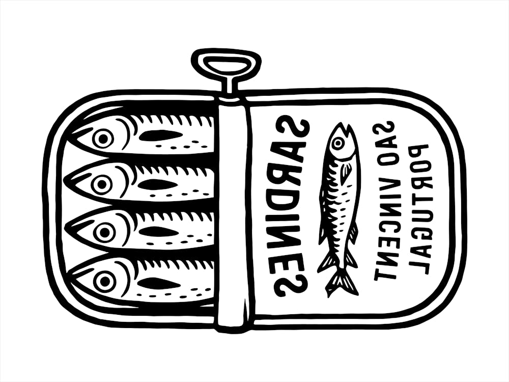 Sardines 19