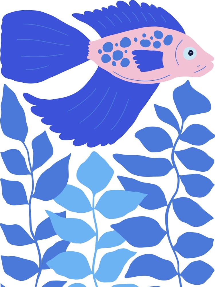 Betta Fish Ocean Collection Boho