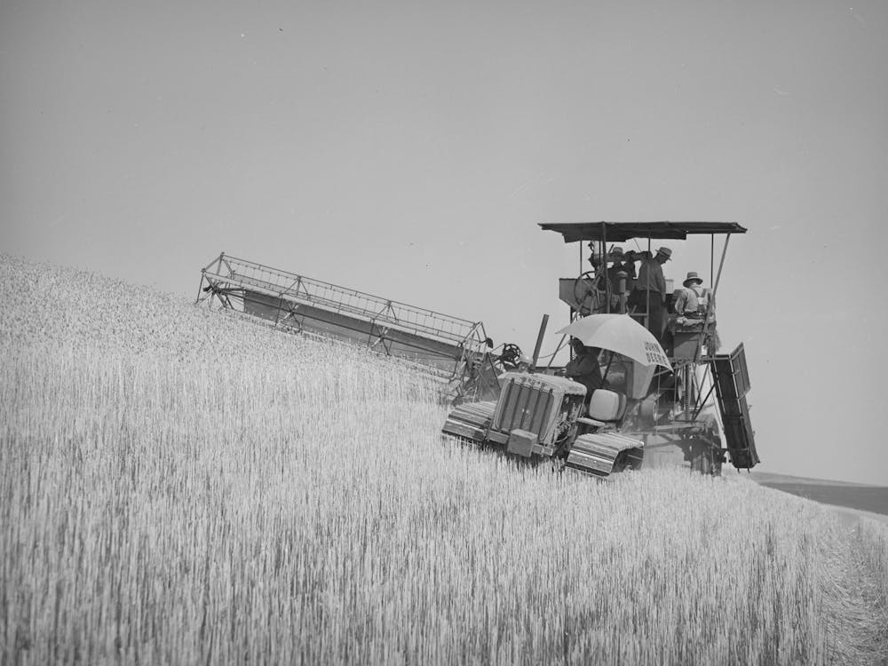 Unbetiteltes Foto, möglicherweise bezogen auf von Caterpillar gezogenen Mähdrescher bei der Arbeit auf Weizenfeldern, Whitman County