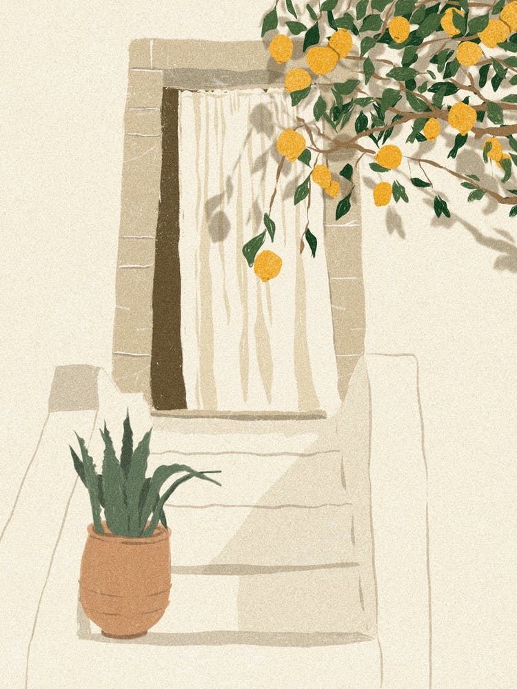  Lemon Home