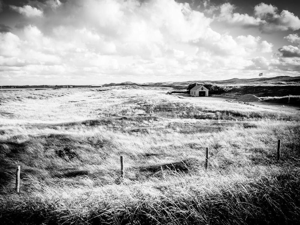 Cottage In The Dutch Dunes In Black And White