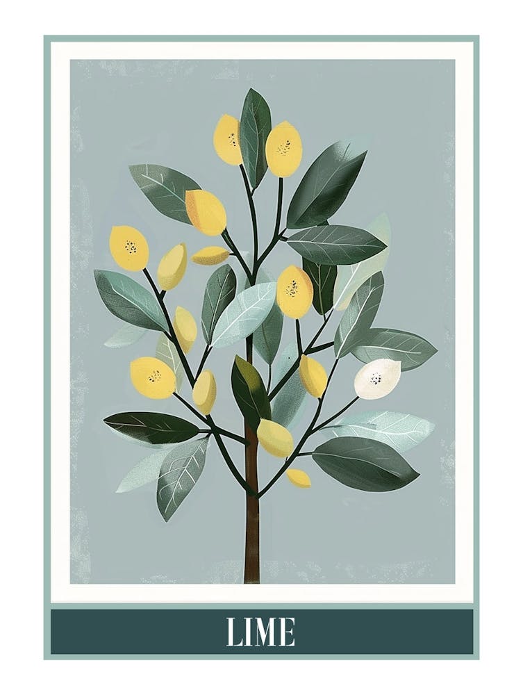 Lime Tree Flat Illustration 5 Poster