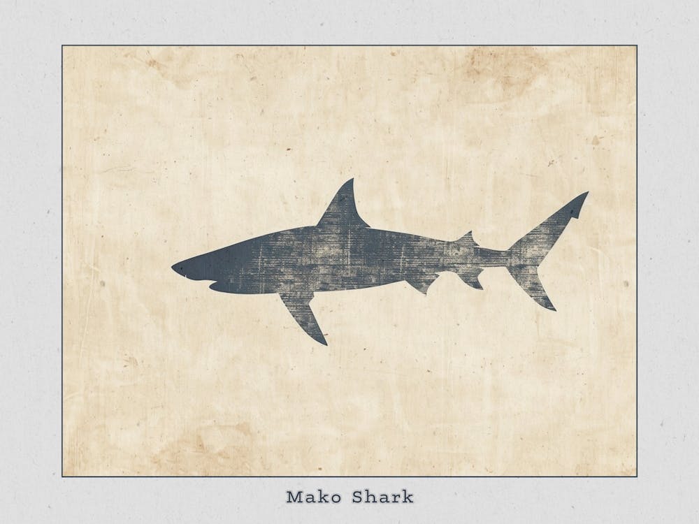 Mako Shark Grey Silhouette 3 Poster