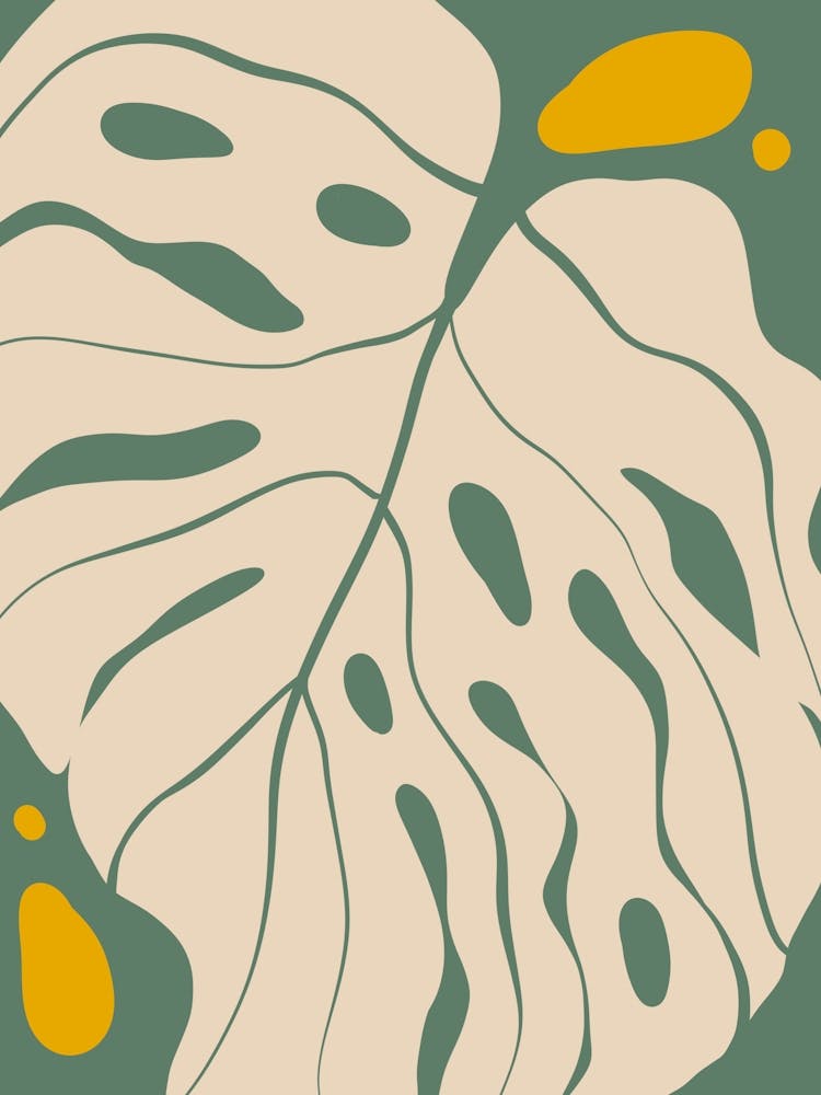 Monstera Leaf 5