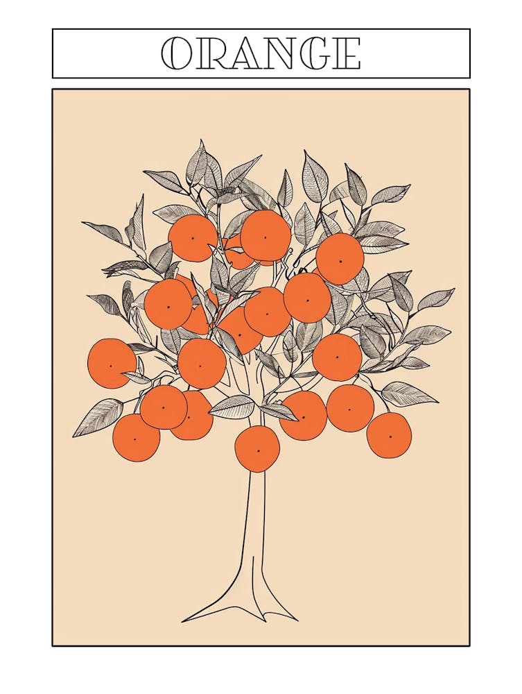 Orange Tree Minimalistic Drawing 3 Poster