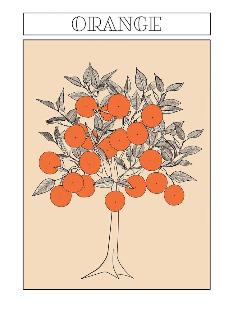Orange Tree Minimalistic Drawing 3 Poster
