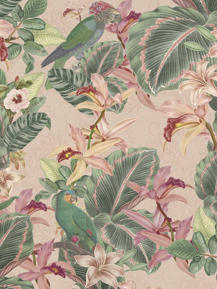 Vintage Jungle Parrots And Flowers