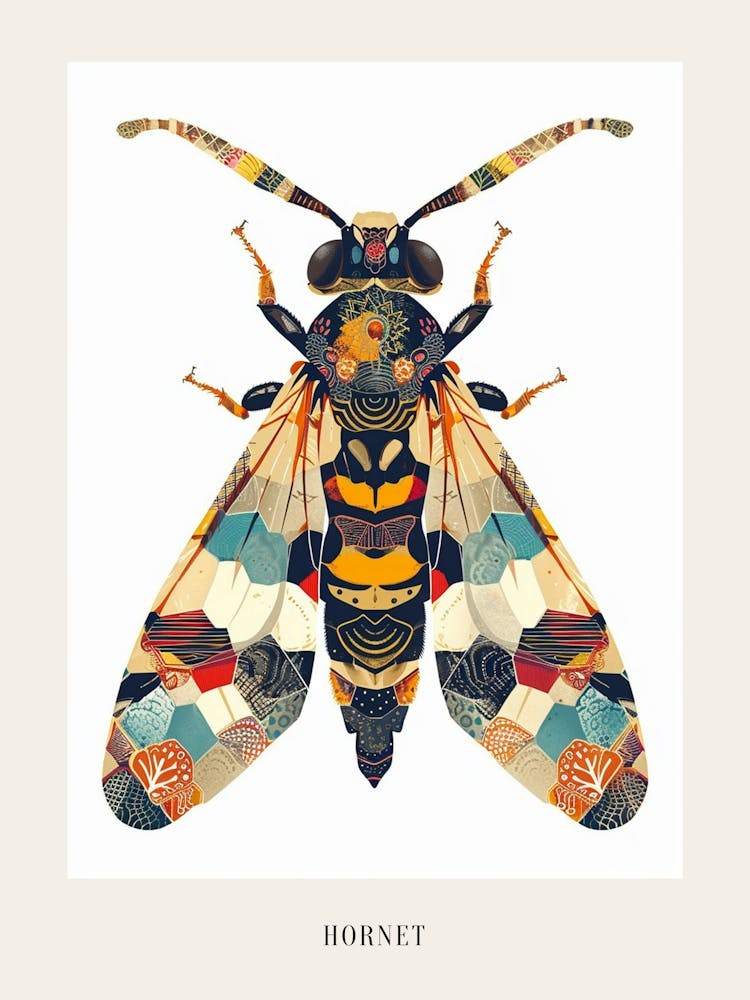 Colourful Insect Illustration Hornet 14 Poster