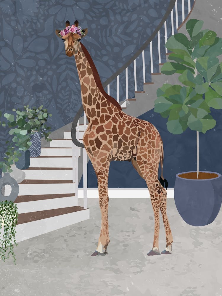 Giraffe