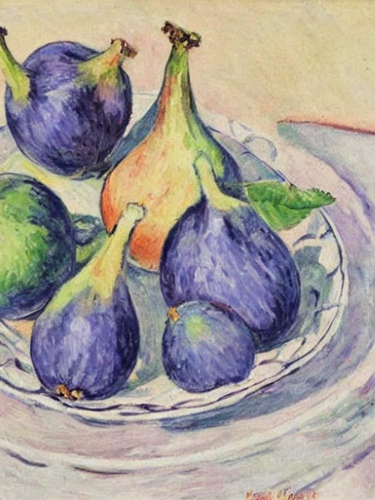 Fig Vintage Sketch Fruit