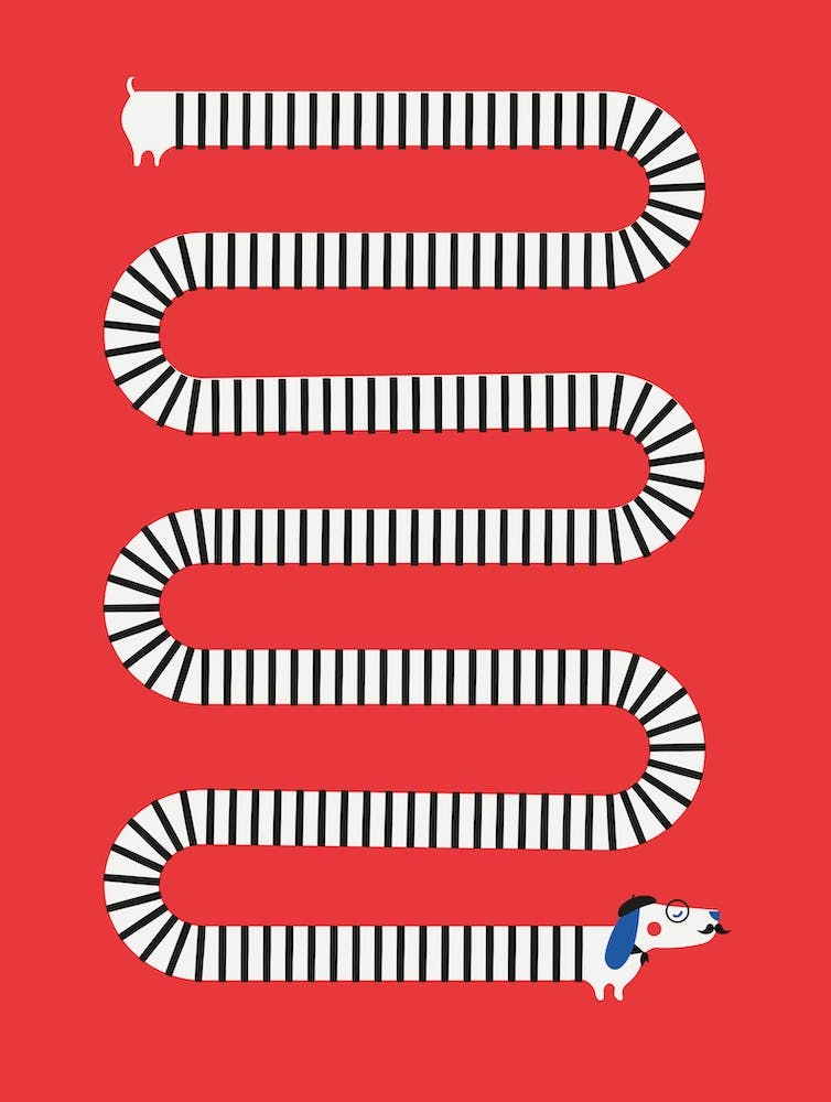 Sausage Dog Abstract