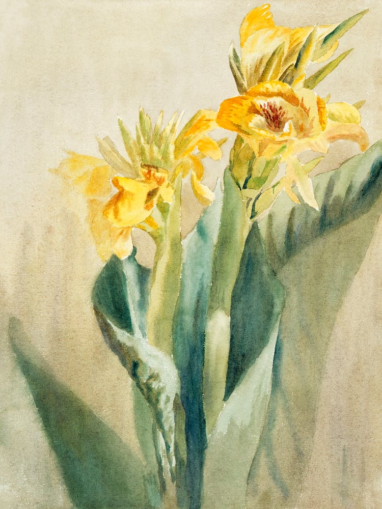 Cana (1915), Hannah Borger Overbeck