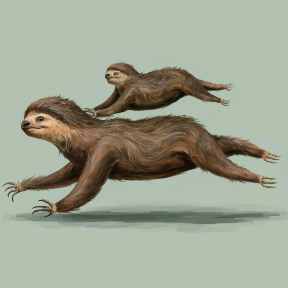 Sloths In A Speed Race Print Art And Wall Art