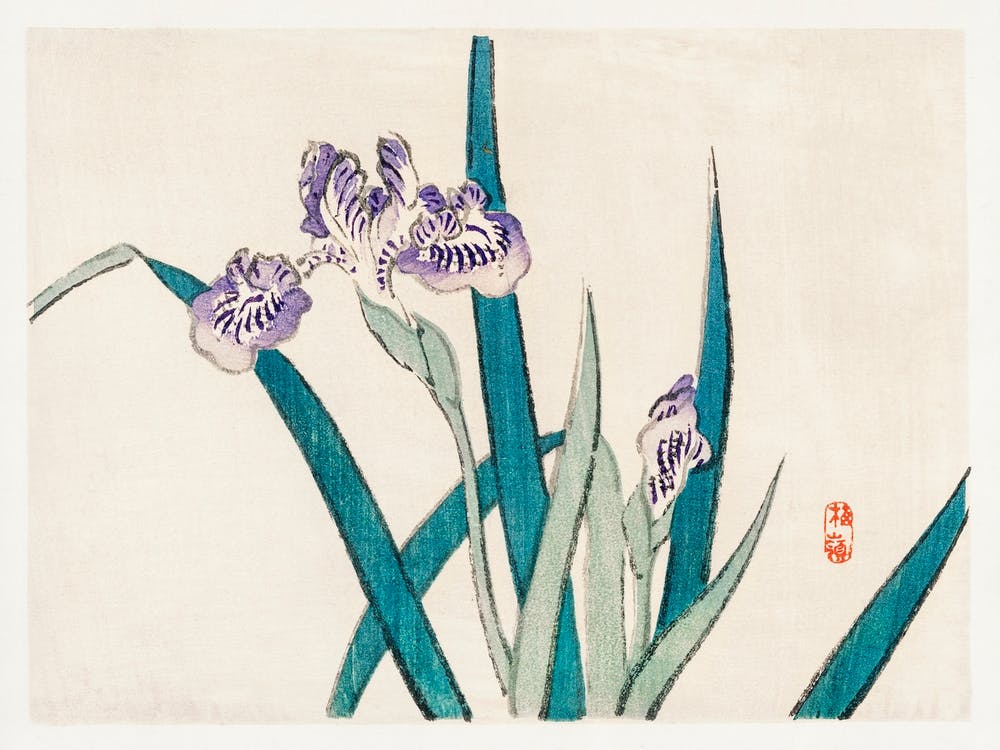Irises, Kōno Bairei