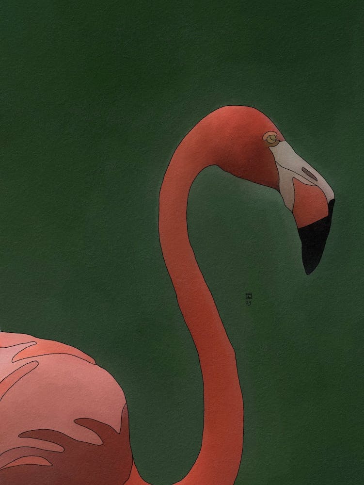 Karibischer Flamingo