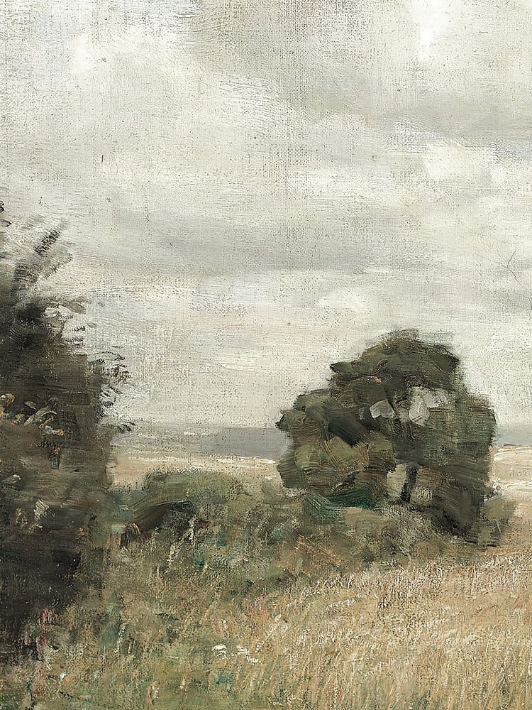 'The Moors'