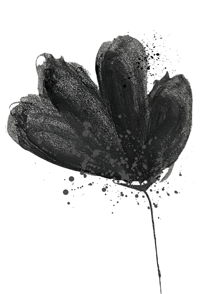Black And White Flower