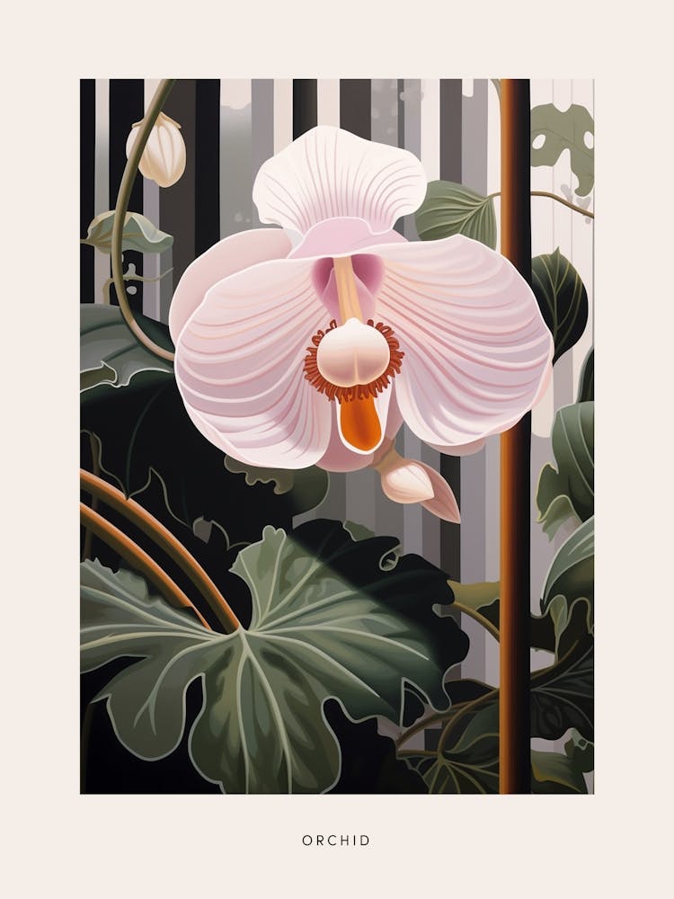 Flower Illustration Orchid 1 Poster