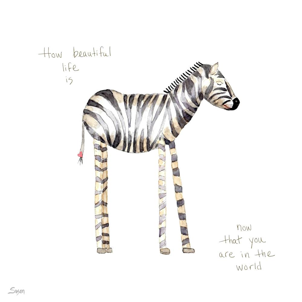 Zebra Love  