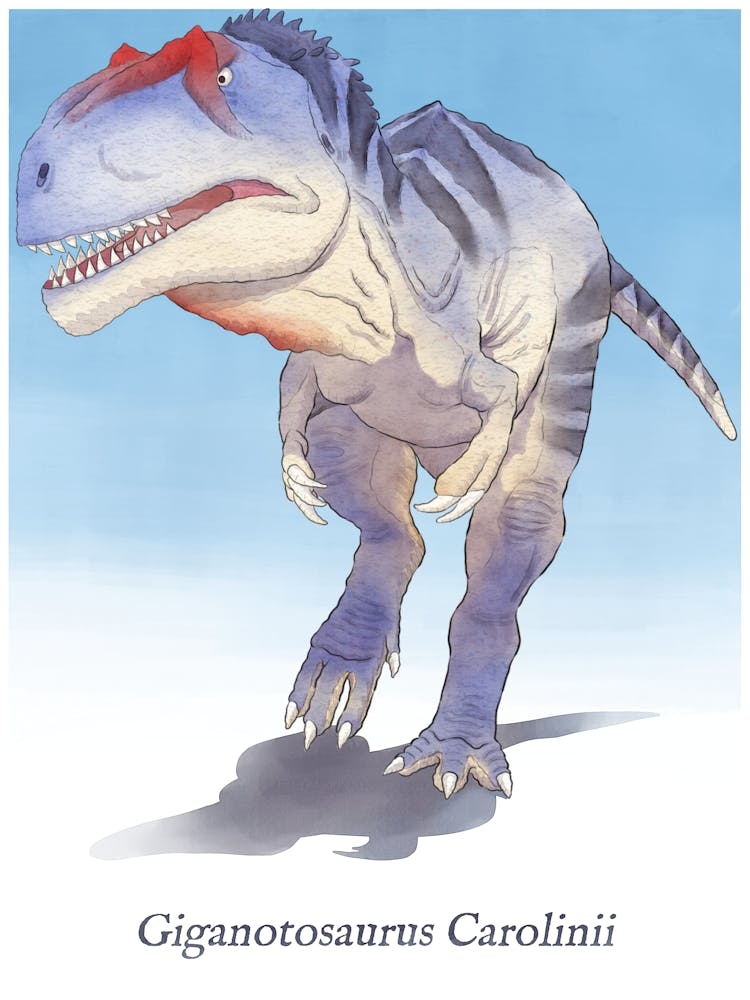 GIganotosaurus Carolinii