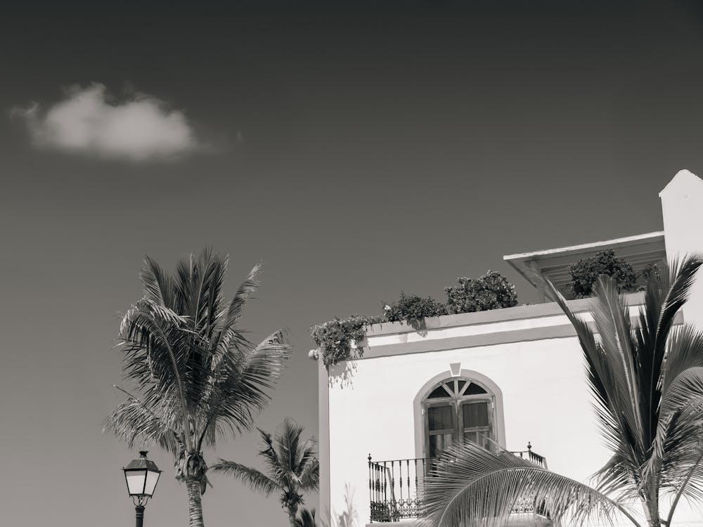 Black And White Villa in Spain