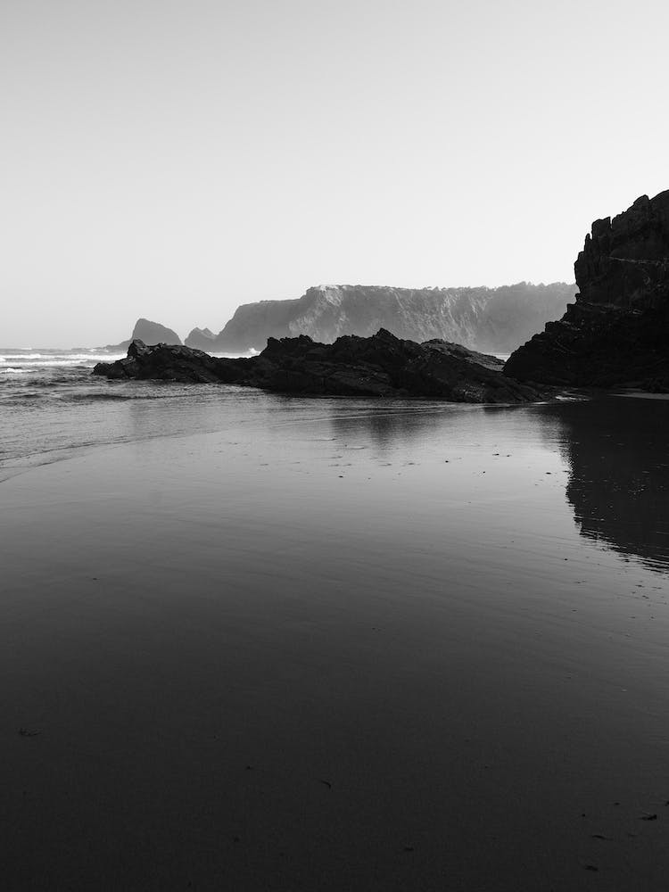 Reflections In The Water