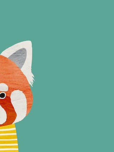 Red Panda Teal