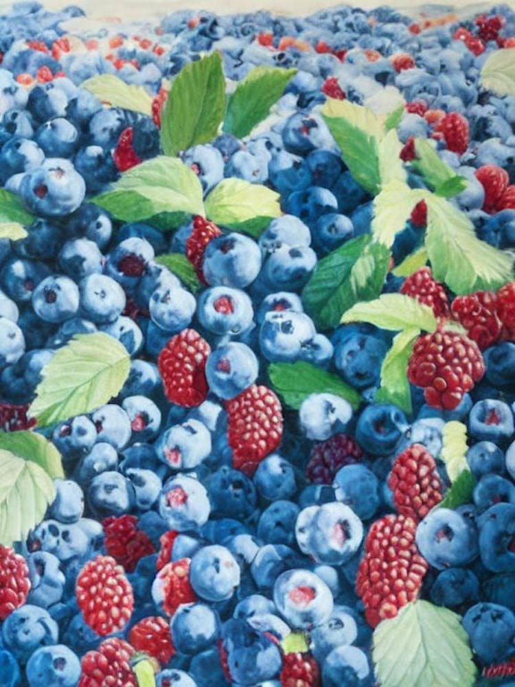 Mûre de Logan 2 Fruit Classique