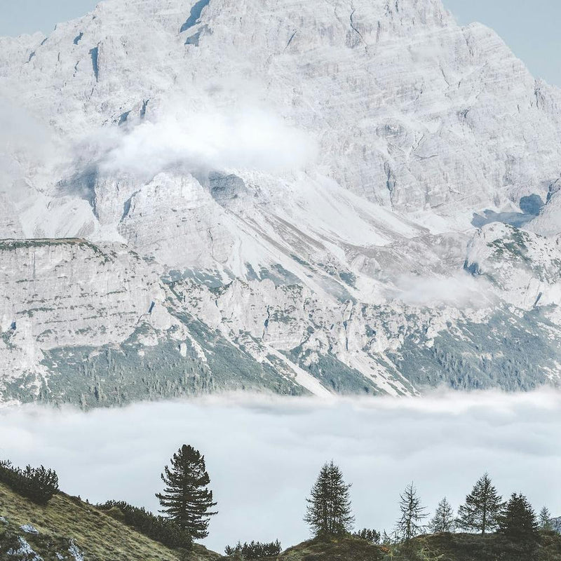 Snowy Mountains