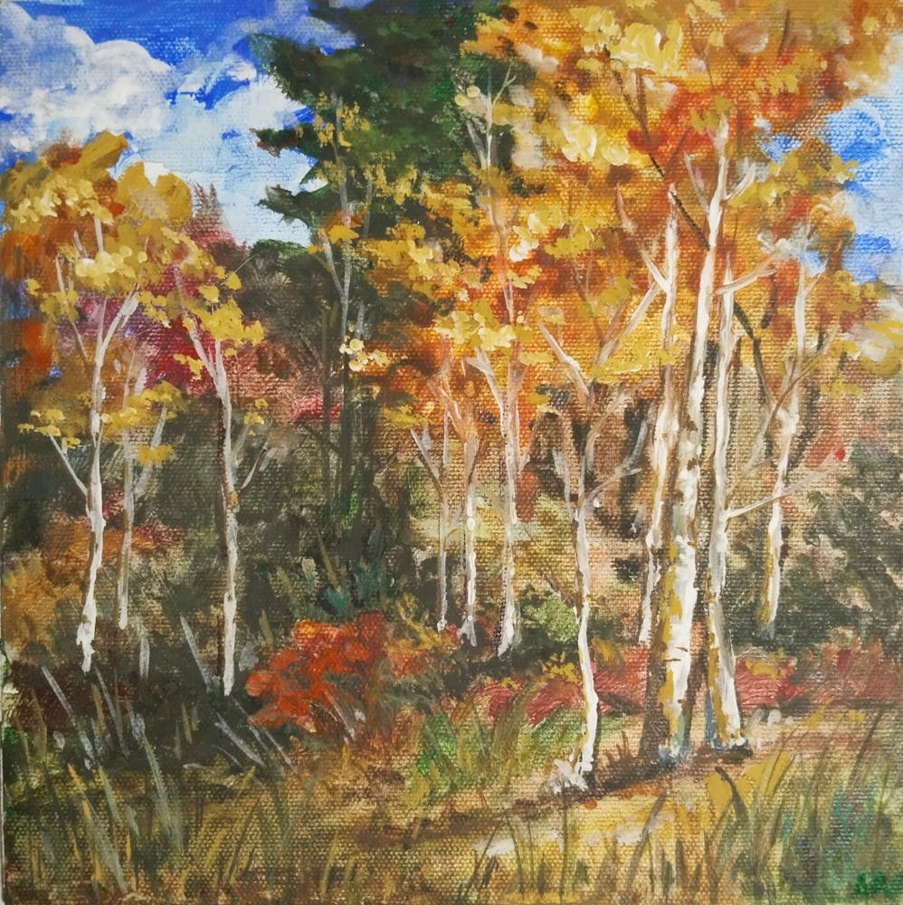 Birch forest